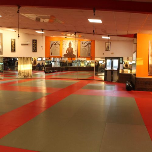 ue de l'intérieur du dojo de Vitrolles, avec un large tatami et des murs décorés.
