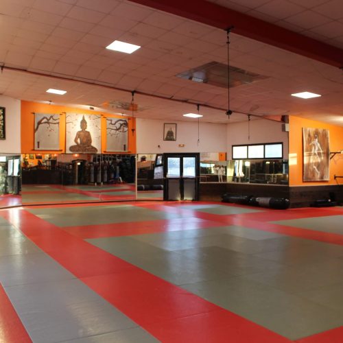 Le tatami et les murs décorés de l'intérieur du dojo de Vitrolles.